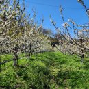 지리산황금농장 이미지