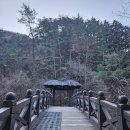 삼척 대금굴 후기 - 예약 방법과 알아두면 좋은 꿀팁 정리