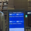 킬리만자로 | 아프리카 3주 신혼여행, 에티오피아 항공 이용 후기 (아디스아바바 경유, 킬리만자로 도착 A to Z)