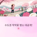 청라 문화3공원 배드민턴장 | 수도권 작약꽃 명소 - 서울, 인천, 경기 인기 명소와 주변 맛집 총정리