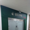 일단고에듀