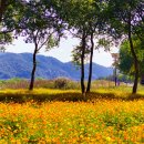 신소양체육공원 이미지