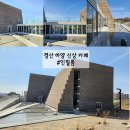 경산가-봄 | 경산 하양 가오픈 신상카페 인필름 inflim 비내리는 카페