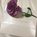 프랑스쥬얼리브랜드 <b>칼라</b><b>노길레스</b>, 정려원 귀걸이