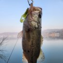 고삼지 | 배스낚시 기록 (염치지, 장성호, 풍전지, 금주지, 고삼지, 소수지, 우금지)