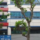 국가보훈행정사무소 이미지