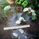 생태연못 이미지