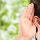 광교 덴마크보청기 이미지