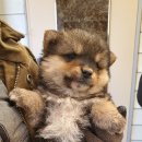 당북초등학교 이미지