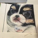 올바른 반려견 보호자 교육 이미지