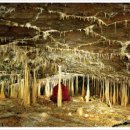 우리나라의 유네스코 세계자연유산은 어디에? 이미지