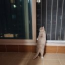 주식회사루비건설 | [이벤트] 우리, 만날래?: 마감