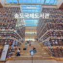 연수어린이도서관 | 인천 송도국제도서관 방문후기 주차 리카라이드 셔틀 원서 등