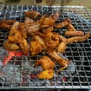 원조산호아나고곰장어 이미지