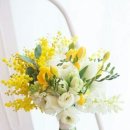 후리지아 이미지