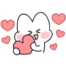 댕댕회관 이미지