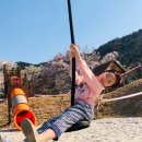 설악초등학교 이미지