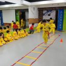 연세이글태권도 이미지