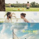 피넛버터팔콘 | 영화 피넛 버터 팔콘 후기, 줄거리 결말 스포