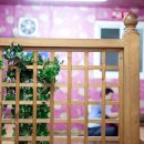 다송2호 이미지