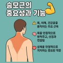 스포츠마사지(바른자세운동트레이너 2급) | [양정헬스 l 양정PT] 🧘 여성분들을 위한 직각 어깨 만들기