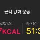 단풍나무짐 이미지