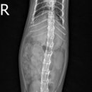목동찬동물의료센터 이미지