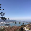 완도네시아 이미지