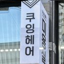 [대구 쿠잉헤어] 대구야간미용실｜쿠잉헤어 반월당점 추천 신데렐라 클리닉 후기 ✨