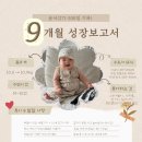 네발로 코리아 | 성장보고서(271-300일) / 발달사항(배밀이 스킵, 네발기기/스스로 앉기/잡고 서기 성공!), 판교 잼잼...