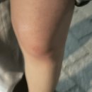 김밥나라현대연제점 이미지