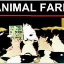 심복농장 이미지