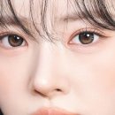 신용사 이미지