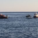 속초해경거진파출소 이미지