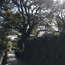 더퍼스트70호텔 이미지