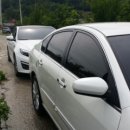 고흥팜2농장 네이버블로그