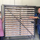 우슬재황토촌 이미지