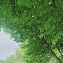 중원체육공원 이미지