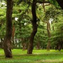 지리산참펜션 이미지