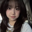 하이레나