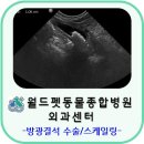 하나동물종합병원 이미지