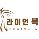 라이언복싱gym 이미지