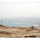 큰에덴농장 이미지