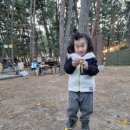 몽산포자동차야영장 이미지