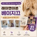 반려견간식 레이앤이본베이지끄, 편식쟁이 강아지도 잘 먹었어요