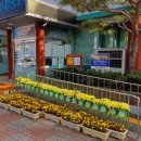 경주시 성건동행정복지센터 네이버블로그