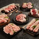 광교중앙로296번길 이미지