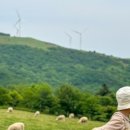 으뜸목장 이미지