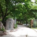 약초농원민박 이미지