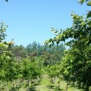 만평농장 이미지